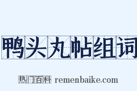 鸭头丸帖组词是什么意思的图片